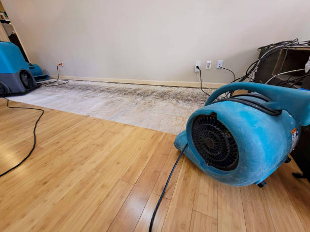 Professional Basement Flood Cleanup technician working in Schodack Landing, NY